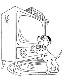 Dálmata assistindo TV
