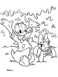 Donald e Margarida