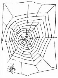 Labirinto de teia de aranha