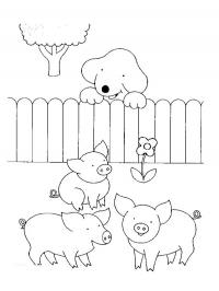 Brincando com os Porcos