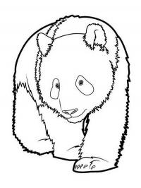 Panda triste