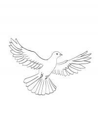 Pombo