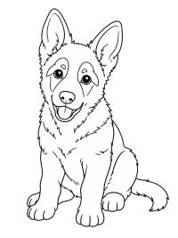 Cachorro Pastor Alem&atilde;o