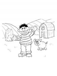 Ernie na fazenda