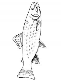 Truta