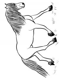 Cavalo frísio
