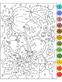 Frutas para colorir por número