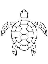 Tartaruga geométrica