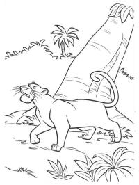 Bagheera perigosa