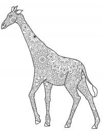Girafa para adultos