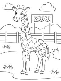 Girafa no zoológico