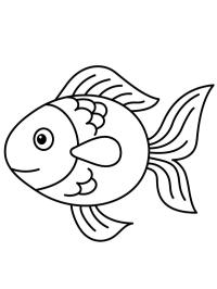 Peixinho dourado