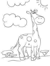 Girafa engraçada