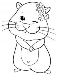 Hamster engraçado