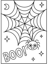 Aranha engraçada na teia