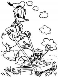 Pato Donald cortando a grama