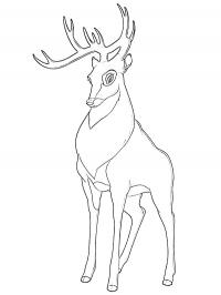Grande Príncipe (Bambi)