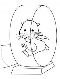 Hamster na rodinha