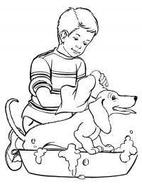 Cachorro tomando banho