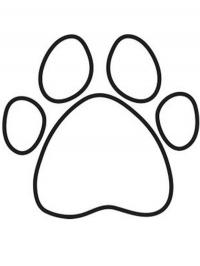 Pata de cachorro