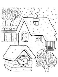 Casa e casinha de cachorro