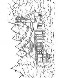 Casa na floresta