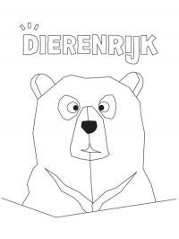 Urso-polar no Reino Animal