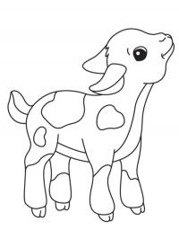 Bezerro
