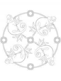 Mandala de camaleão