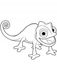 Camaleão Pascal