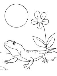 Camaleão