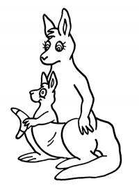 Mamãe canguru