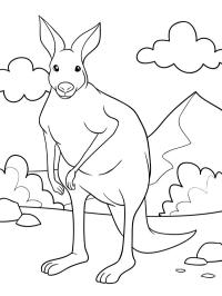Canguru