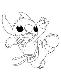 Stitch Karatê