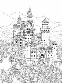 Castelo para adultos
