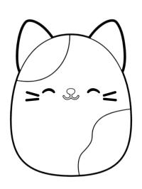 Gato Cameron