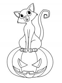Gato sobre abóbora de Halloween