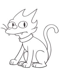 Gato Bola de Neve