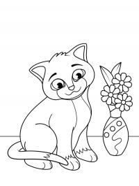 Gato