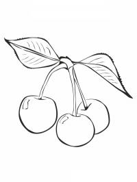 Cerejas
