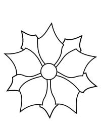 Poinsétia