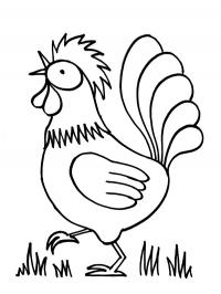 Galinha Hay Day