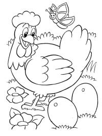 Galinha pondo ovo