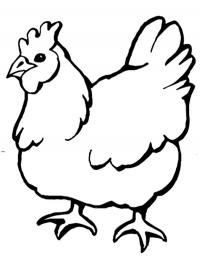 Galinha