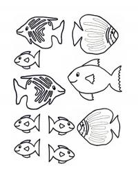 Pequenos peixinhos