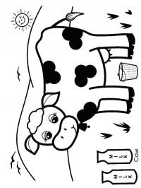 Vaca