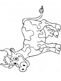 Vaca