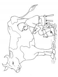Ordenhando uma vaca