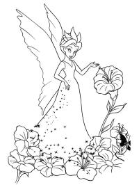 Rainha Clarion