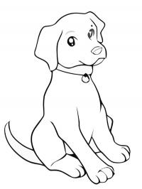Filhote de Labrador